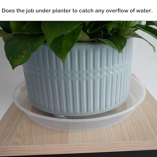 Plant Saucer Tray 12 inch 2 Pack Plastic Plant Trays Saucers for Indoors Outdoor, Heavy Duty Drainage Drip Water Trays for Planter Pots Flower, Round Pebble Tray, Pots Base (12", Clear) - view 5