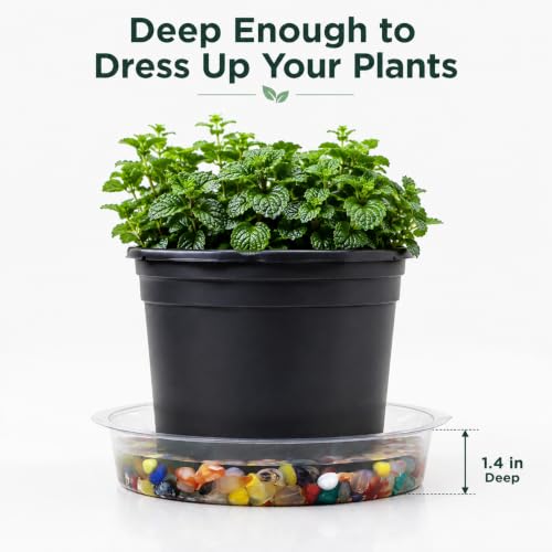 Heavy Duty Clear Plastic Plant Saucers, Flower Pot Tray - Excellent for Indoor & Outdoor Plants (8-Inch, 10-Pack) - view 5