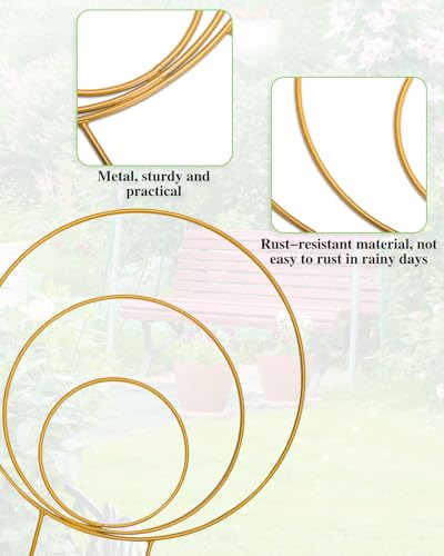 3 Pack Circle Plant Trellis Indoor, Small Metal Plant Support Stake for Climbing Plants, Different Sizes Round Garden Trellis for Ivy and Flowers Outdoor (Gold) - view 2