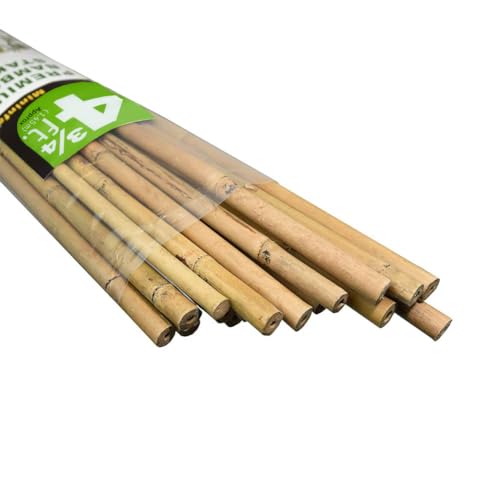 Natural Bamboo Stakes 57 Inch (Approx 5 FEET), Eco-Friendly Garden Stakes, Plant Stakes Supports Climbing for Tomatoes, Trees, Beans, 20 Pack
