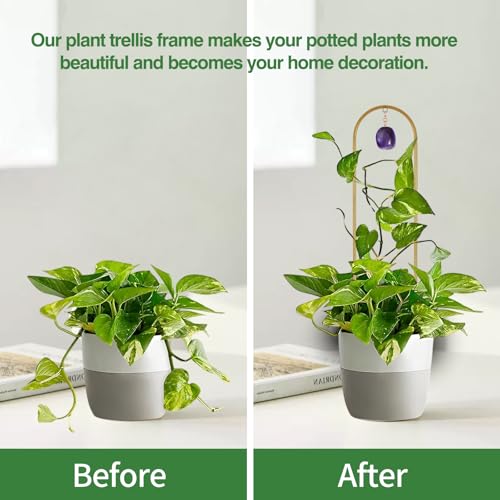 Garden Small Plant Trellis for Climbing Plants Indoor Outdoor - view 2