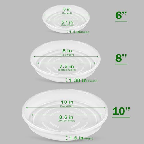 6 Pack Plant Saucers (6inch /8inch /10inch),Heavy Sturdy Plant Trays Pot Tray for Indoor Clear Plastic Flower Pot Saucers Thicker Plant Water Drip Trays for pots(6" 8" 10") - view 2