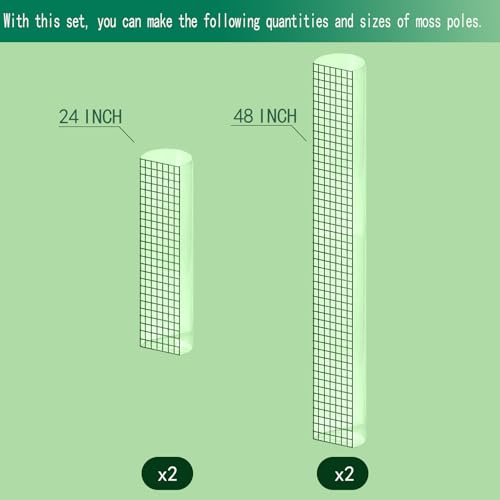 Metal Moss Poles for Climbing Plants, D-Shape Sphagnum Moss Pole Monstera Plant Support for Climbing Plants, DIY Plant Stakes Work with Sphagnum Moss (12ft D-Shaped Clear) - view 3