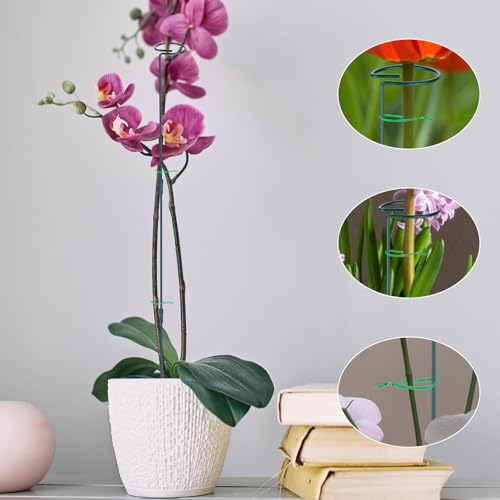 2 Pack (DIY) Plant Support Stakes, Three Sizes (12 or 24 or 36 inch) Plant Support Rings with 20 Pcs Plant Twist Ties, Garden Stake for Indoor Outdoor Plant Flowers, Amaryllis,Tomatoes - view 5