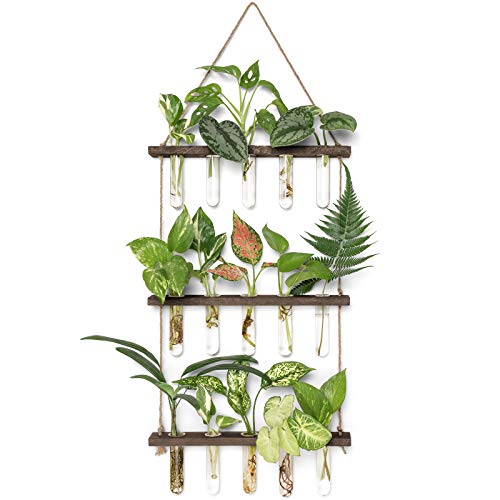 Plant Propagation Station, 3 Tier Brown Wall Hanging Vase Test Tubes