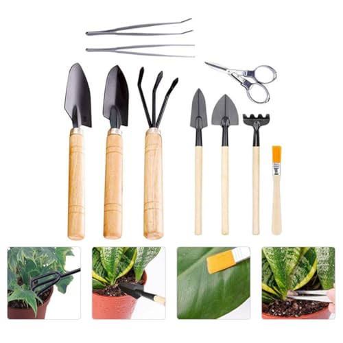 Wooden Succulent Planting Tool Set 10pcs for Indoor Seedlings - view 7