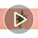 30 Packs 4 Inches Small Clear Plant Saucers for Indoor Outdoor Use Heavy Duty Plastic Plant Trays for Planter Bulk Flower Pot Drip Trays to Catch Water, 4 to 20 Inch - view 7
