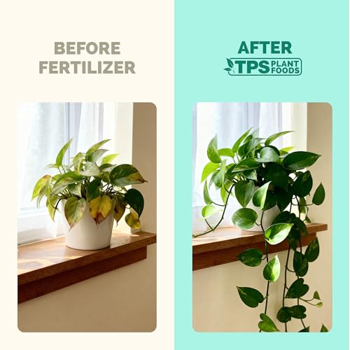 Indoor Plant Food, Complete Liquid Fertilizer for Houseplants, 32oz - view 3