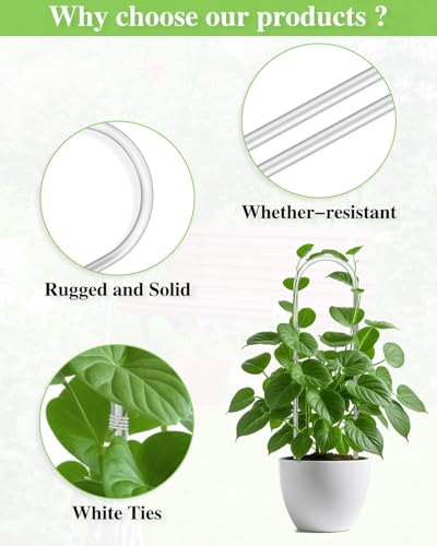 2 Pack Acrylic Tuteur Plante Interieur, Clear Plant Support Trellis Indoor - view 4