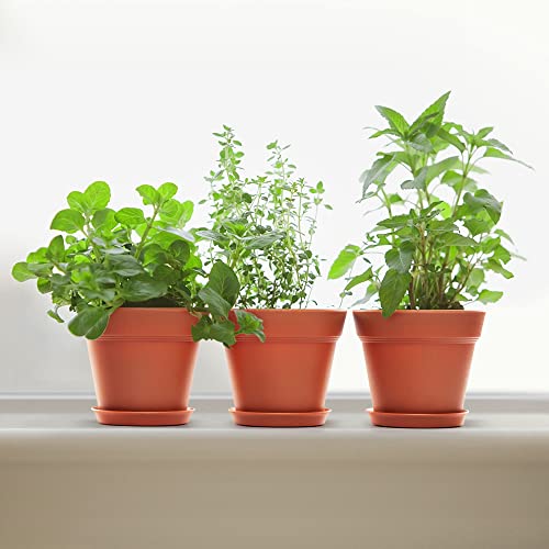 6 Pack 7 inch Plastic Plant Pots with Drainage Holes and Tray, Terracotta - view 6