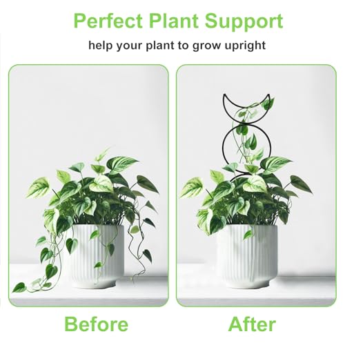4 Packs Trellis for Climbing Plants Indoor, Small Garden Metal Trellis for Potted Plants Outdoor for Vine Ivy Flower Plant Support, 4 Different Black Iron Patterns - view 5