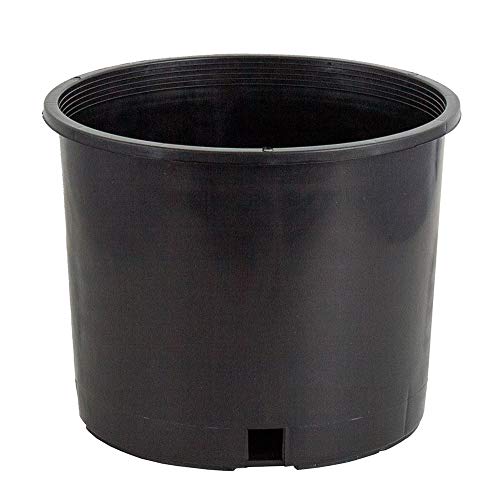 Pro Cal Wide Rim Nursery Pots, 5 Gallon, Set of 5, Injection Molded - view 7