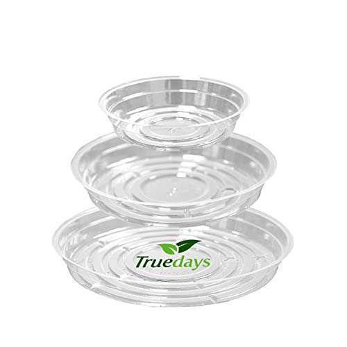 15 Pack(6 inch/8inch/10inch) Clear Plant Saucers Flower Pot Tray Excellent for Indoor & Outdoor Plants