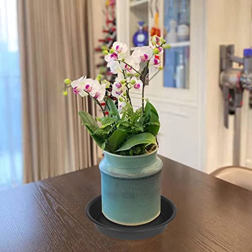 6 Pack 6 inch Plant Saucer Tray, 4 6 8 10 12 15 17 19 inch Plant Saucers, Heavy Duty Plastic Plant Saucers for Indoors, Bird Bath Bowls, Flower Plant Water Trays for pots Planter (6", Black) - view 5