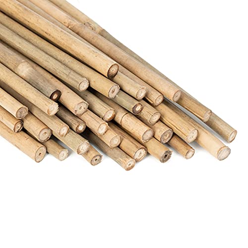 Natural Bamboo Garden Stakes, 20pcs Plant Sticks 18 inches
