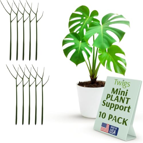Mini Plant Support Stakes, Monstera Dark Green, 10-Pack, 12" L