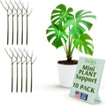 Mini Plant Support Stakes, Monstera Dark Green, 10-Pack, 12" L