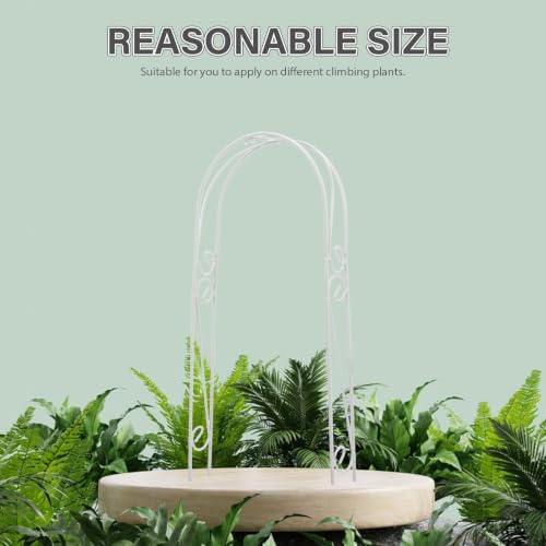 White Iron Plant Support Arch for Indoor Climbing Plants and Vines - view 6
