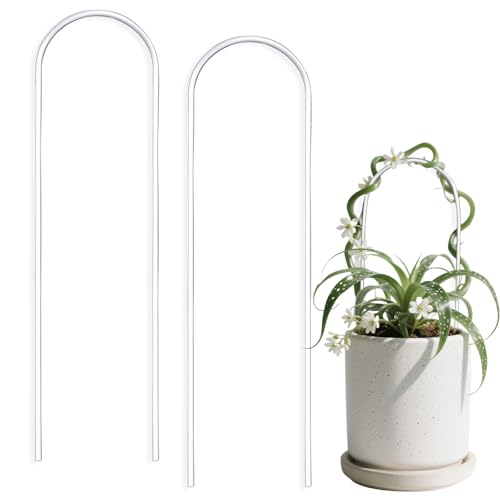 2 Pack Thickened U-Shaped Acrylic Trellis for Indoor Plants, Small Clear Plant Trellis for Potted Plants Climbing Plants Garden Accessory for Pothos Hoya Trellis Indoor Outdoor