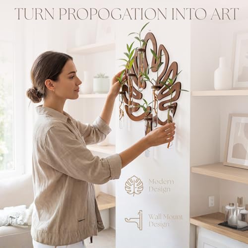 Leaf-Shaped Plant Hanging Propagation Stations with 6 Glass Vases & 1 Spare - view 3