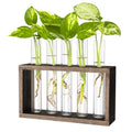 Propagation Station, Plants Terrarium, Plants Lover Gifts for Women,Plant Cutting Holder Home décor,Gifts for Women,House Warming New Home-5 Tubes-Brown