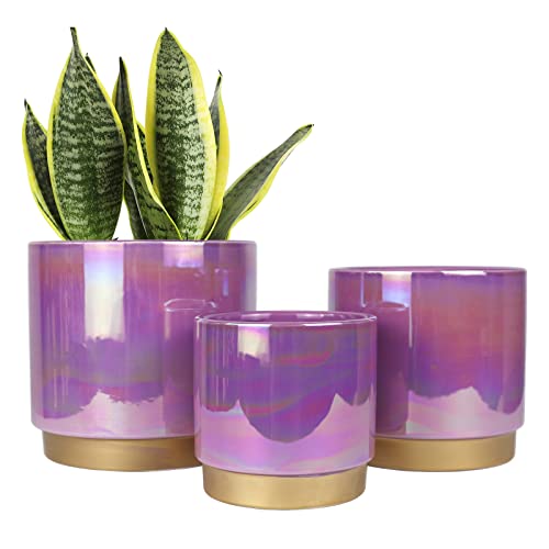 Ceramic Plant Pots for Indoor Plants, Planters with Drainage Holes