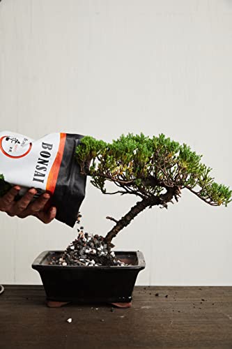 Bonsai Soil by The Bonsai Supply – 4qts. Professional Bonsai Soil Mix | Ready to use| Great for All Bonsai Tree Varieties. - view 5