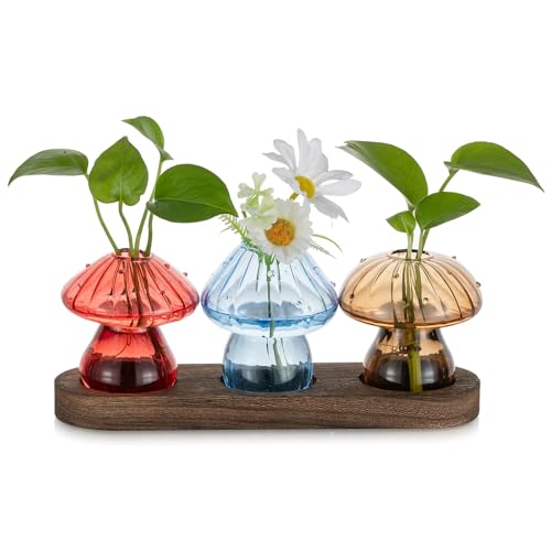 3Pcs Mushroom Propagation Station: Glass Terrarium Jar for Plants