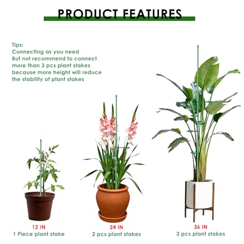 20 Set Plant Stakes 12 inch Extendable Plant Support Stakes with Adjustable Clips Rings, Flower Stem Plant Support Sticks for Indoor Outdoor Plants Stabilizer Garden Sticks for Orchid Rose Tomato - view 4