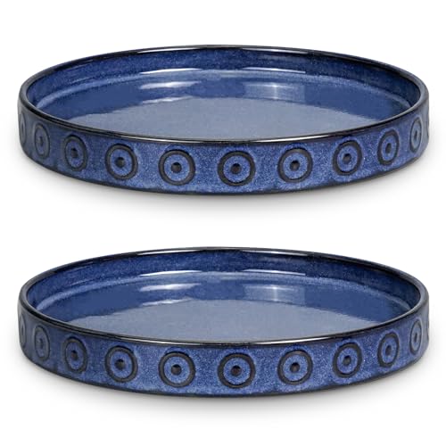 2 Pack 5.6 Inch Flower Pot Saucers, Plant Water Catcher Tray for Indoor Outdoors, Round Plants Plates to Catch Water, Boho Plants Dishes to Catch Water, Decorative Planter Tray, Blue