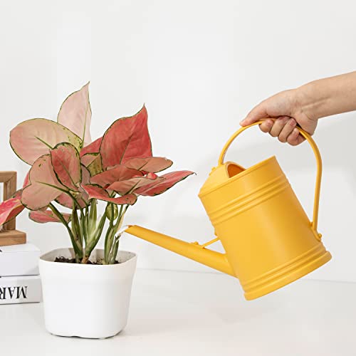 Plastic Indoor Watering Can with Detachable Sprinkler Head - 68oz (1/2 Gallon) for House Plants and Flowers - view 3