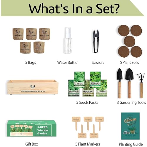 5 Herb Seeds Garden Starter Kit with Complete Planting Kit & Wooden Flower Box, Growing into Basil, Parsley, Rosemary, Thyme, Mint for Kitchen Windowsill Herb Garden DIY - view 2