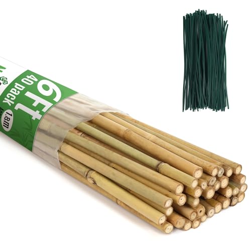 40 Pack Bamboo Stakes for Plant 6 Feet,Bamboo Sticks Garden Plant Support Stakes Poles with 200pcs Twist Ties for Tomatoes, Beans, Flowers, Trees, Indoor and Outdoor Climbing Plants