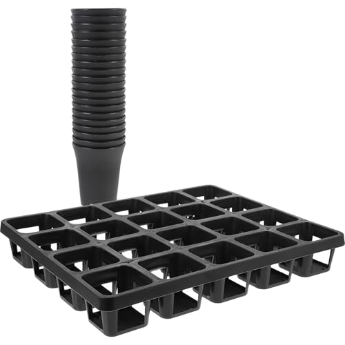 Black Plastic Succulent Pot Tray with Humidity Dome for Seed Starting