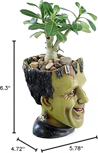 Funny Planters Head Planter for Indoor Plants, Succulent Pot with Drainage Hole Fairy Garden Resin Cactus Pencil Holder Desk Storage Gift for Women Men Plant Pot - view 4