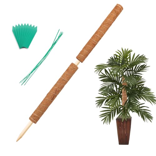 34 Inch Moss Pole, 2 Pack 19.5 Inch Moss Poles for Climbing Plants Monstera, Moss Sticks for Indoor Plant Support Plant Stakes for Indoor Climbing Plants Grow Upwards with Garden Ties