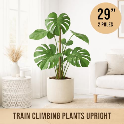 29" Moss Pole Monstera Plant Support, Indoor Plant Stakes - view 4