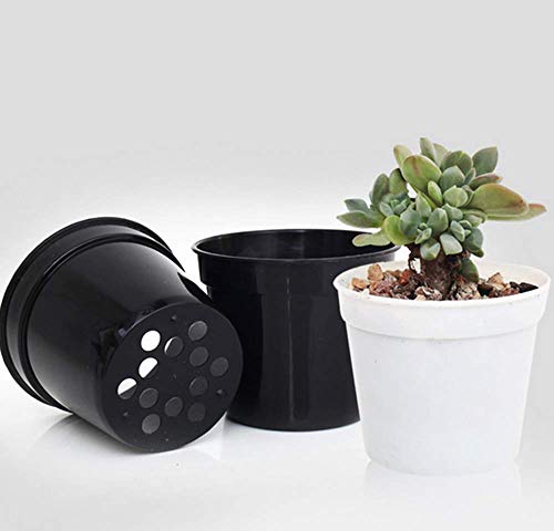 Round Succulents Plant Pots Drainage Hole, Set of 40 Mini Plant Pots 2.5" Wx2.25 H,Perfect for Plant Seeds,Seedling Nursery Transplanting Planter Container(Black) - view 6