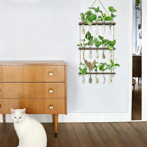 Wall Hanging Propagation Station with Wooden Stand 5 Glass Test Tubes 3 Tiered Planters Wall Terrarium for Home Office Plant Hanger Flower Vases Wall Decor Hydroponic Cuttings - view 3