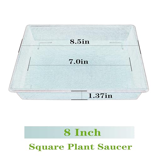 Square Plant Saucer 5 Pack 8 10 12 14 16 18 20 Inch, Plant Trays for Pots Heavy Duty Plastic Plant Saucers for Indoors Outdoors, Flower Pot No Holes Plant Drip Trays - view 2