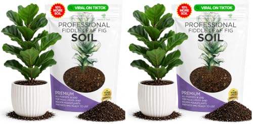 Professional Fiddle Leaf Fig Soil Mix Ready to Use Extra Large 8.2 Quarts, Premium Potting Soil for Fiddle Leaf Fig Indoor Houseplants, Peat Sawdust Coarse Sand Pinebark Made in USA (Pack of 2)