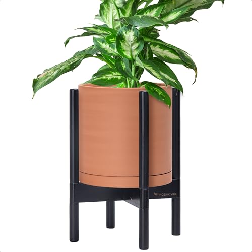 Terracotta Pot with Ebony Wood Stand, 10 in, 55-B-L-5
