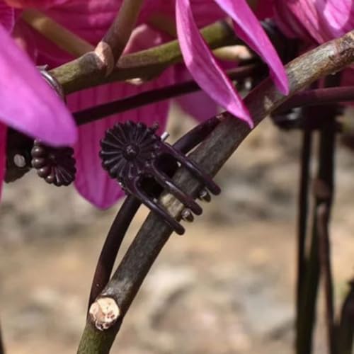 100pcs Plant Fixing Clips 2x1.5x1cm Plastic Spring Support for Orchids - view 4