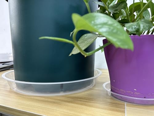 4 Pack Clear Plant Saucer 4 6 8 10 12 14 16 18 20 22 Inch Plant Trays for Pots, Plastic Extra Large Planter Saucers for Outdoors Indoors, Drip Catcher Water Tray for Plants (14 Inch) - view 6