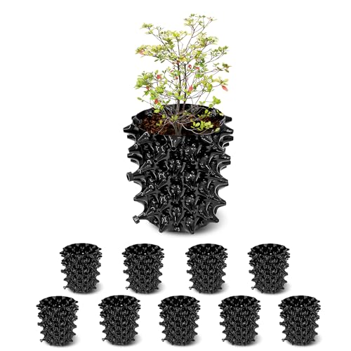 1 Gallon Air Pruning Containers, New Plastic Nursery Pots, Fruit Vegetable Garden Self-Planting Pots, Black (1G-10P)