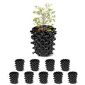 1 Gallon Air Pruning Containers, New Plastic Nursery Pots, Fruit Vegetable Garden Self-Planting Pots, Black (1G-10P)