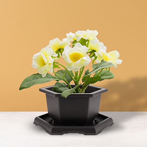 5 Pack Bonsai Pots, Hexagon Built in Mesh Plastic Bonsai Training Pots with Trays, Plant Flower Tree Growing Bonsai Planter for Garden Supplies, Yard, Office, Room, Balcony,7.4 Inch - view 7