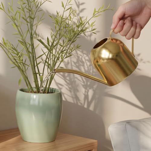 Watering Can for Indoor Plants, 30oz Long Spout Stainless Steel - view 6