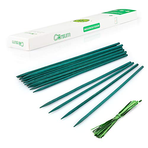 Green Bamboo Sticks Garden Wood Plant Stakes,Floral Plant Support Wooden,Wooden Sign Posting Garden Sticks,15 Inches 25 Pack