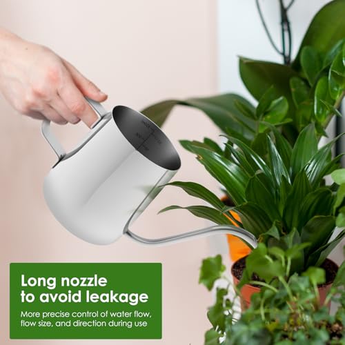 Small Stainless Steel Watering Can for Indoor Plants, 12oz/350ml Mini Plant Watering Pot with Long Spout & Ergonomic Handle for Houseplants, Succulents & Bonsai - view 4